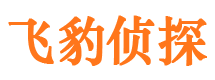 洪雅市侦探